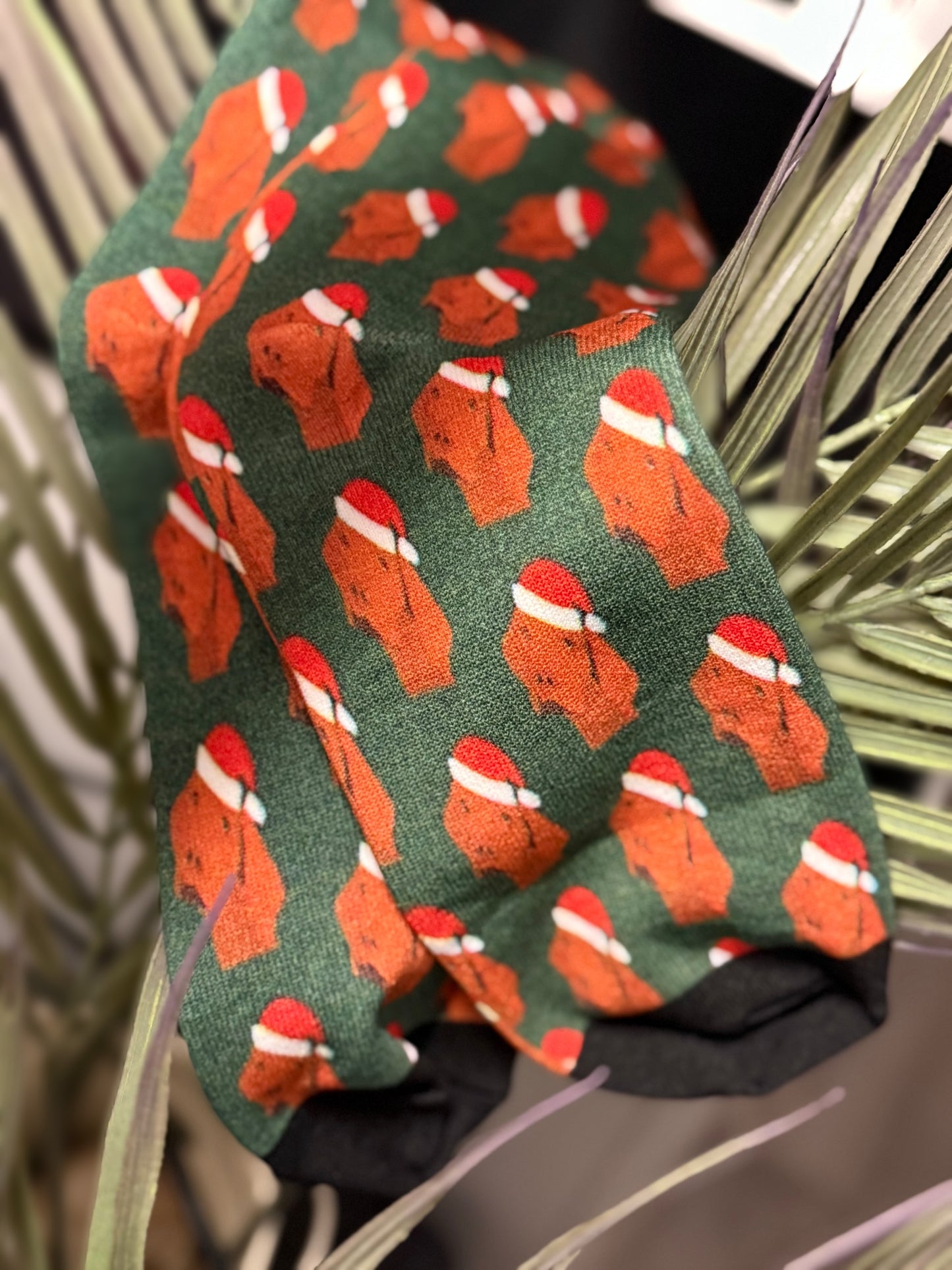 Vizsla Socken Weihnachten 🎅