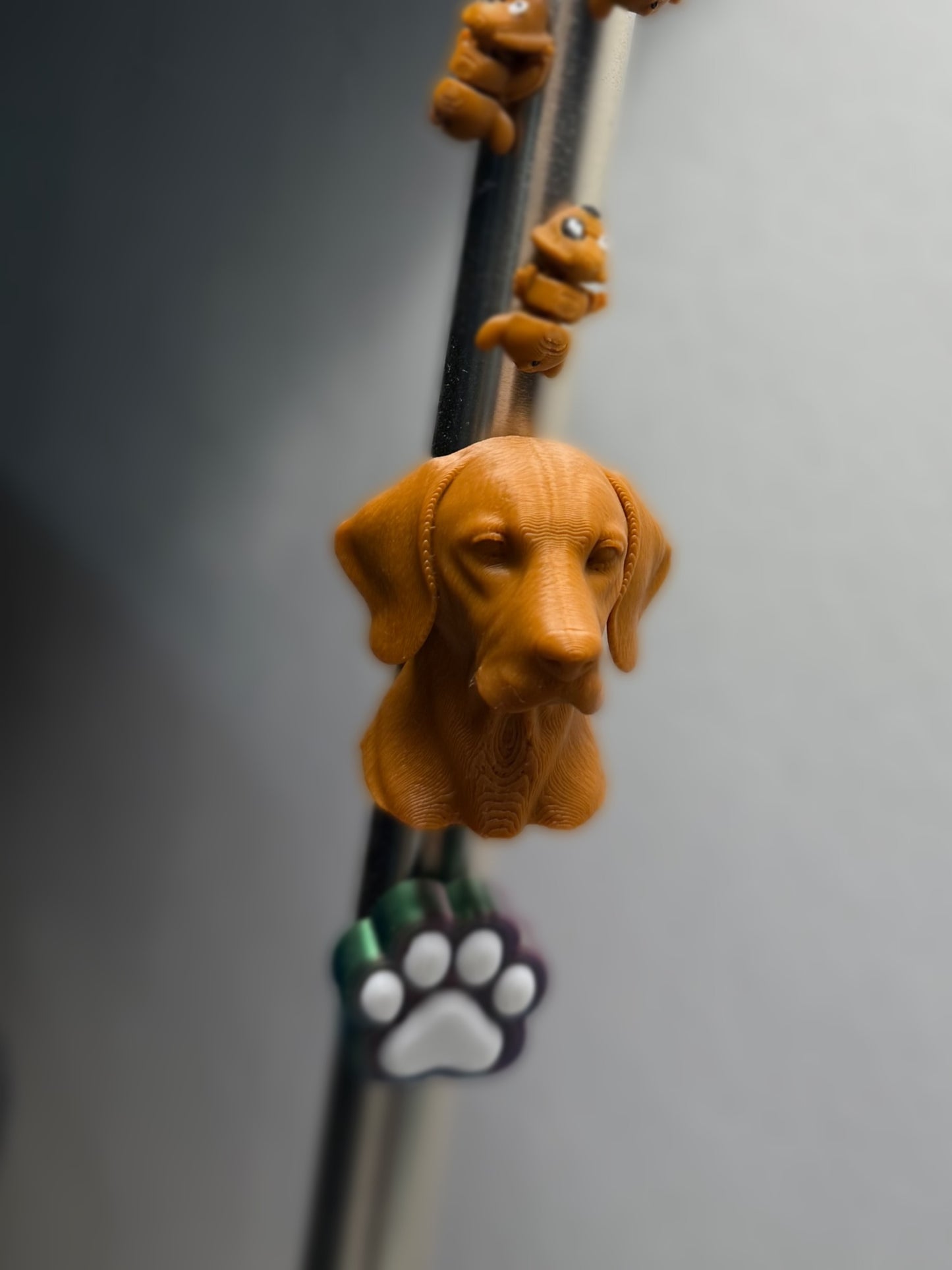 Magnet Vizsla u. Französische Bulldogge