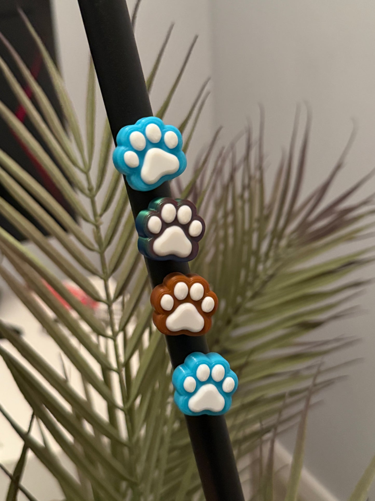 Magneten Pfote 3 Stk.